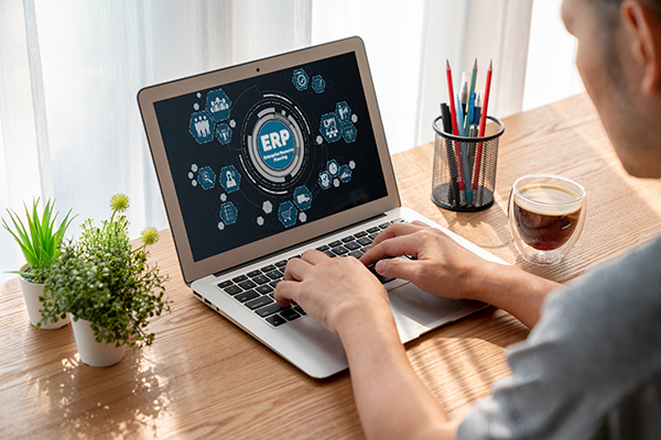 ERP enterprise resource